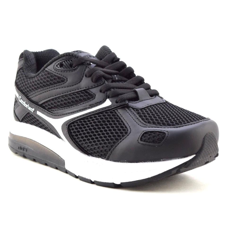 PFA - 31613 - CAMBRIAN