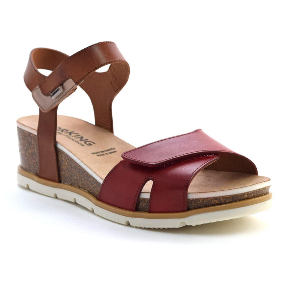 AFC - GOLD - DORKING